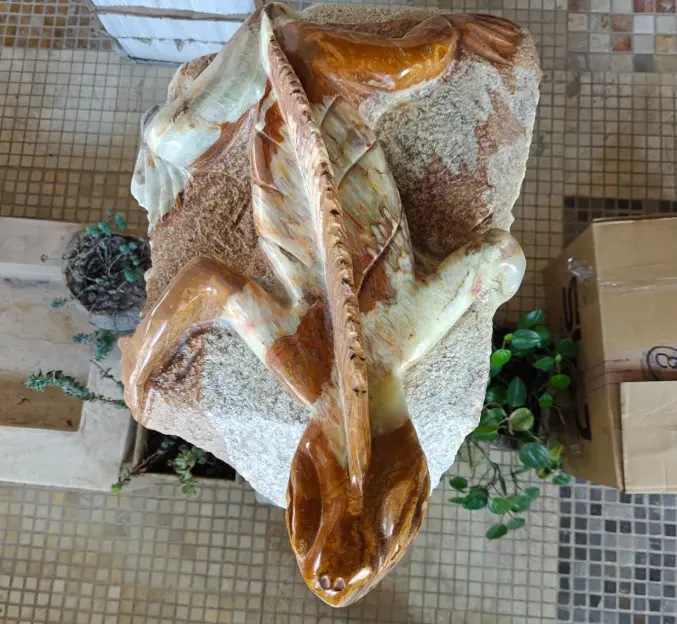 Iguana
